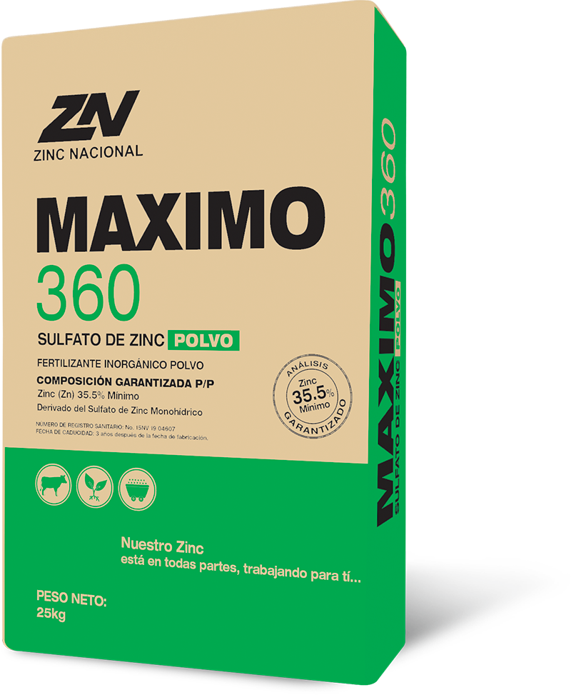 Maximo 360 polvo