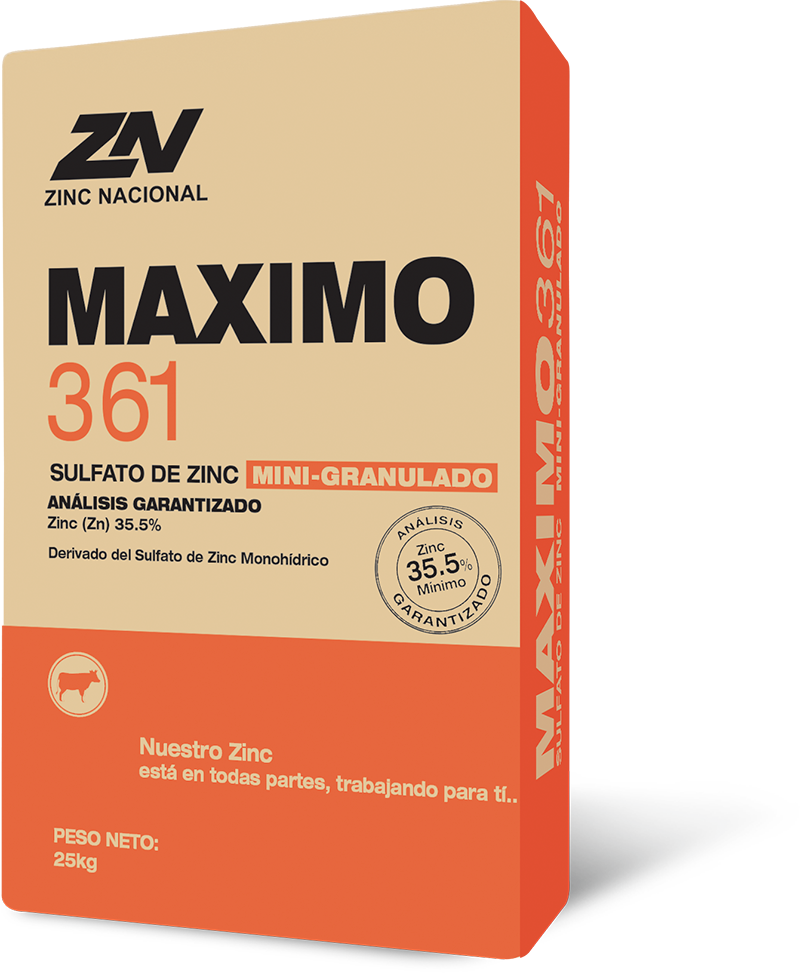 Maximo 361