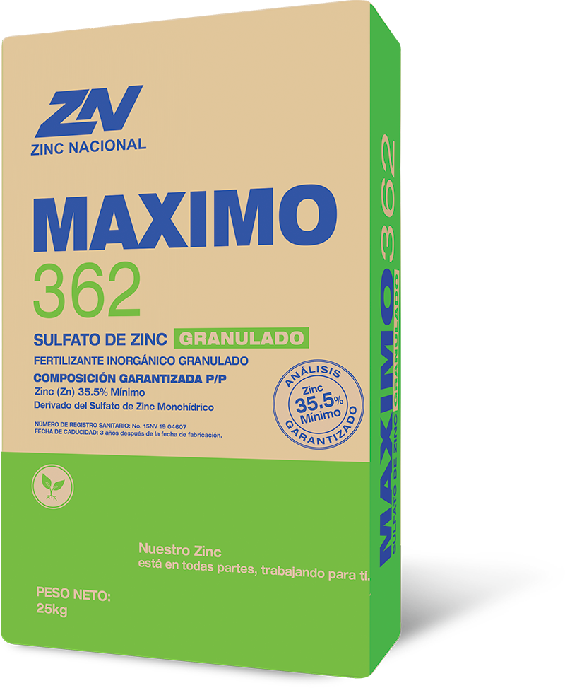 Maximo 362