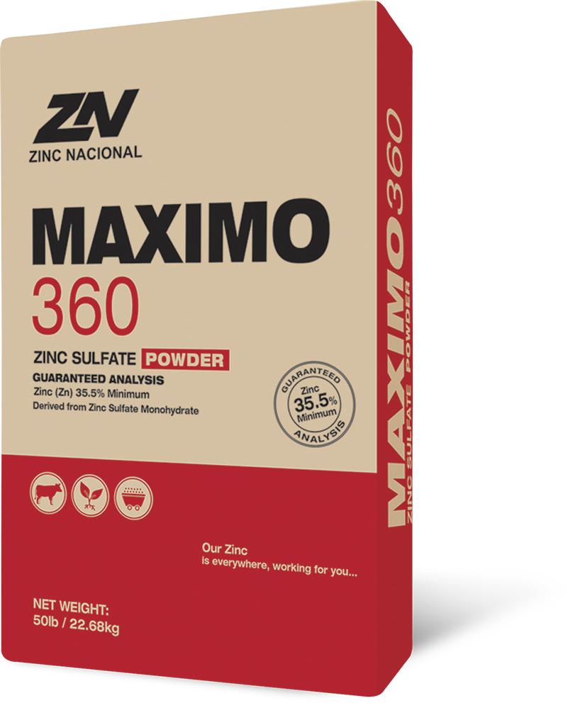 Maximo 360 powder